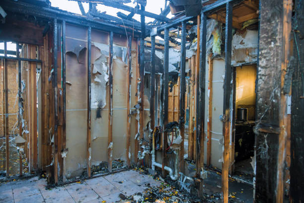 Professional Fire Damage Removal technician working in Springtown, TX