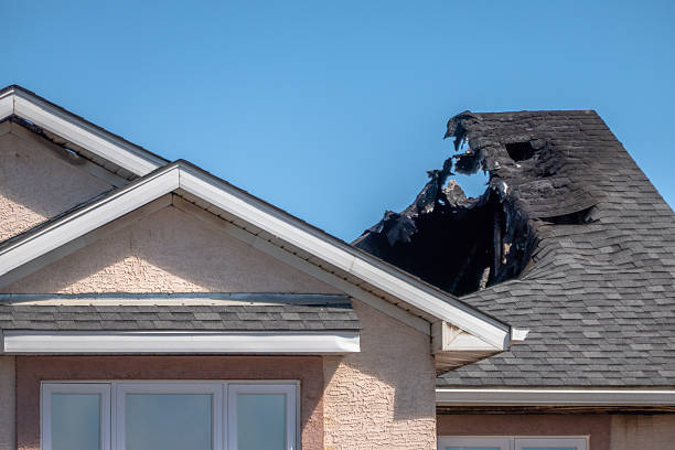 Top rated local Fire Damage Removal specialists in Springtown, TX